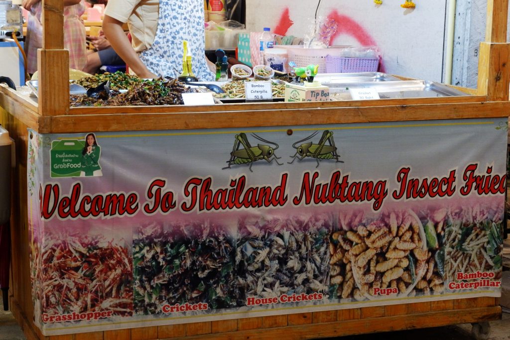 Keripik Serangga Street Food di Thailand Harga Murah Dapet Banyak. Foto: Prajna Vita