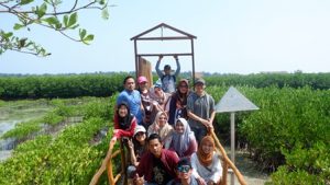 Jambatan di Tengah Mangrove Sangat Instagramable/Ilmy