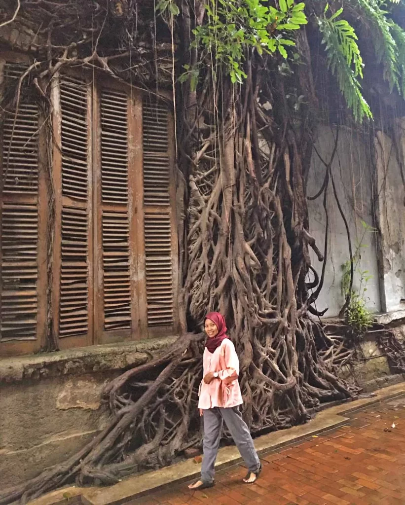 Pohon Beringin Spot Favorit di Kota Lama Semarang untuk Prewedding/Foto: Hari Akbar