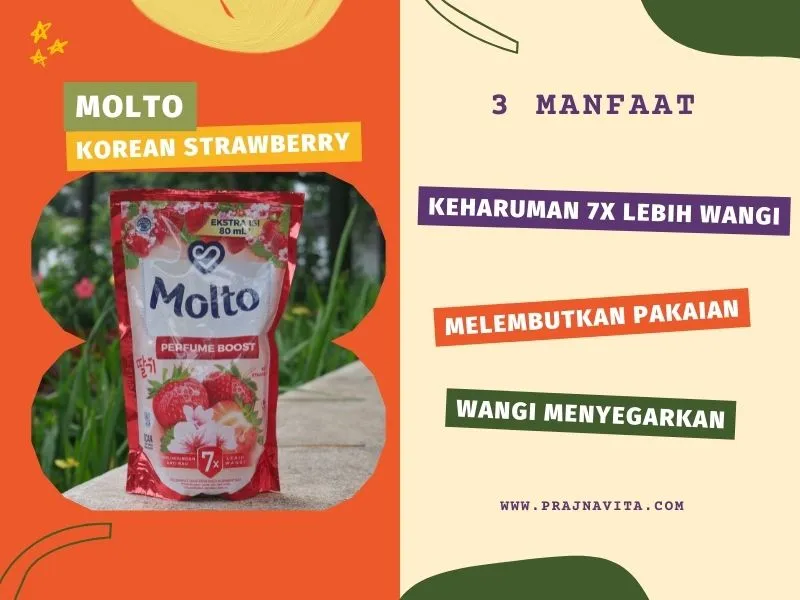3 Manfaat Molto Korean Strawberry/Infografis: Prajna Vita