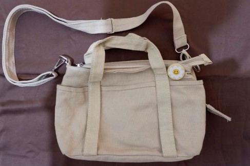 Mini Sling Bag Canvas La Terre