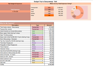 Budget Tracking Banyuwangi Bali