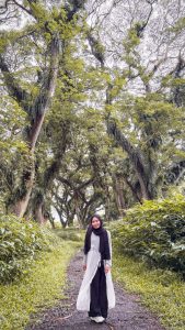 Hutan Terestetik di Banyuwangi