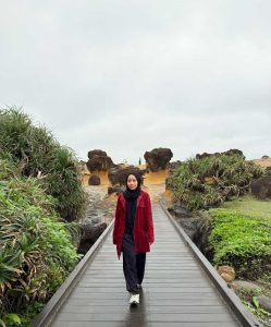 Situs Bebatuan Yehliu (Yehliu Geopark)
