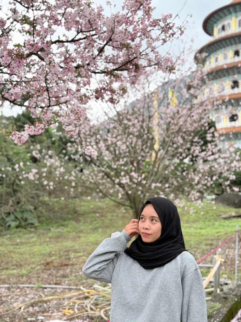 Jadi Spot Sakura Terbaik