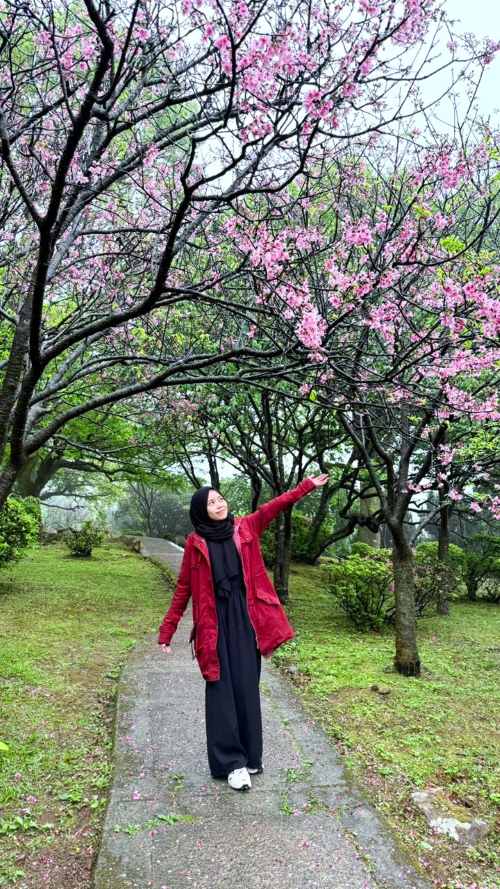 Yangmingshan Flower Clock & Zhuzhihu